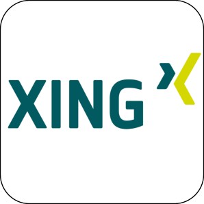 Daniel Fritz bei xing.de